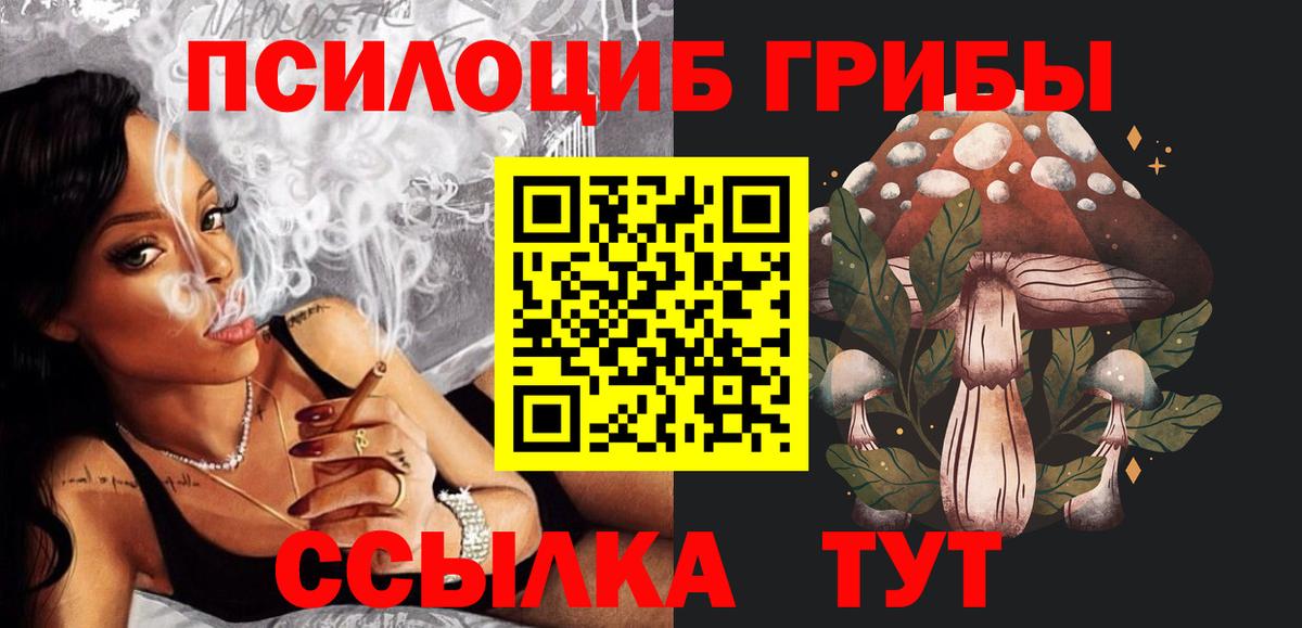 Псилоцибиновые грибы Cubensis Горно-Алтайск