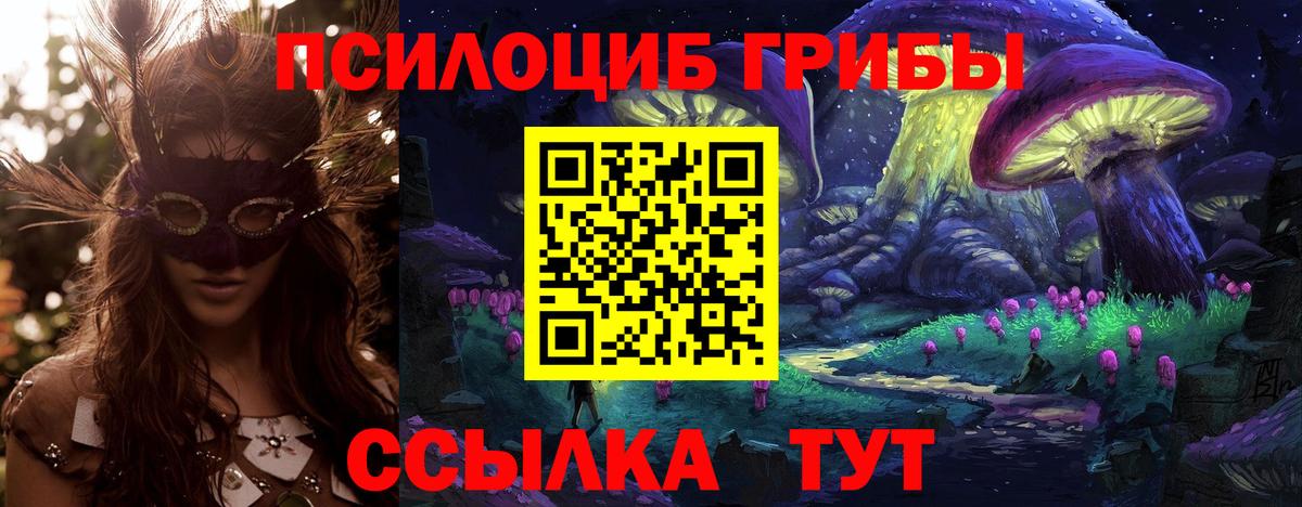 Галлюциногенные грибы Magic Shrooms  Псилоцибиновые грибы прущие грибы  Горно-Алтайск  Вход с VPN 